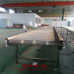 德隆工廠直銷不銹鋼網帶傳送帶自動化輸送設備食品專用,德隆工廠直銷不銹鋼網帶傳送帶自動化輸送設備食品專用生產廠家,德隆工廠直銷不銹鋼網帶傳送帶自動化輸送設備食品專用價格
